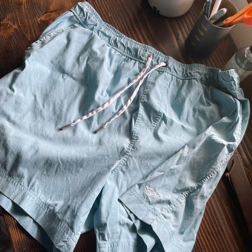 Zegna swim trunks
